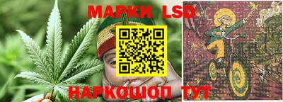 СК Рыбинск