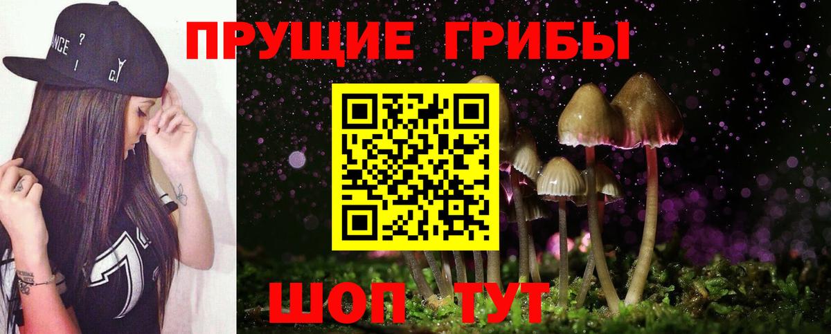 Псилоцибиновые грибы MAGIC MUSHROOMS  Вход с VPN  Подольск 